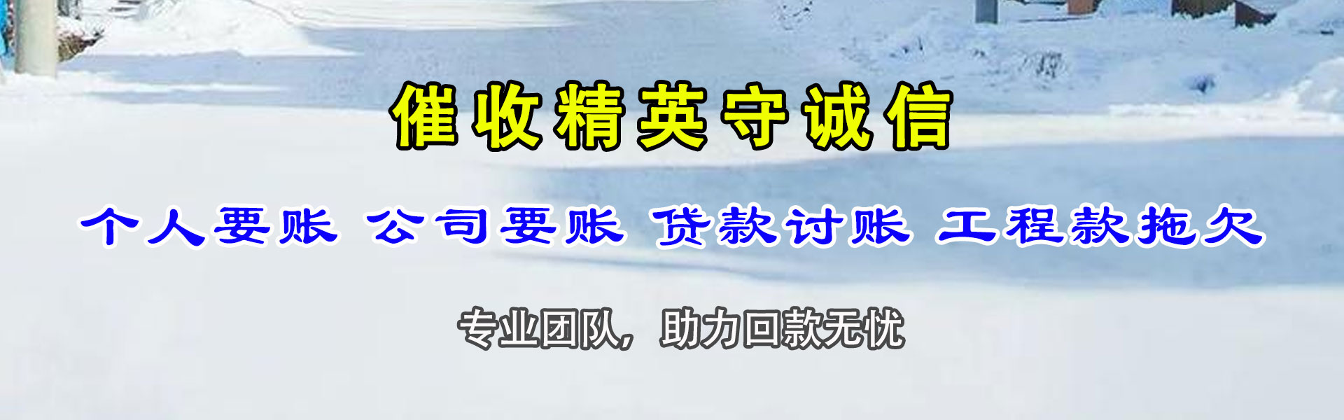 枞阳清债公司